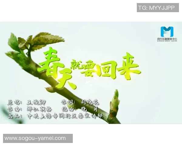 告别武汉三镇的温暖时光感恩这段旅程的每一个瞬间